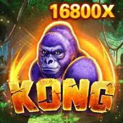 Hỗ trợ khách hàng 24/7